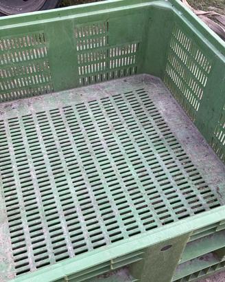 Bins cassone in plastica