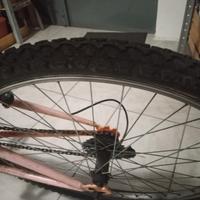 Bici