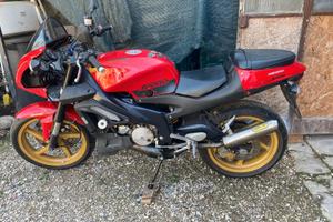 APRILIA TUONO