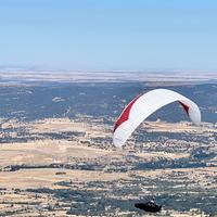 Parapendio Gin Leopard