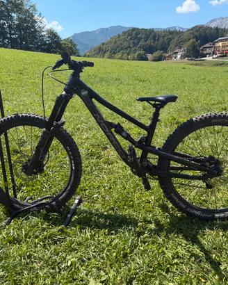 Norco Fluid FS 24”