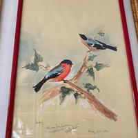 Acquarello pettirosso