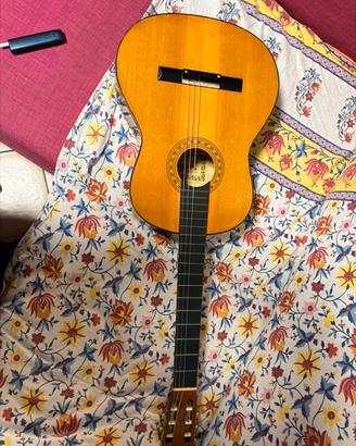 Chitarra Sevilla Mod C.244
