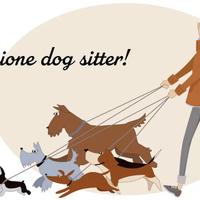 Dog sitter