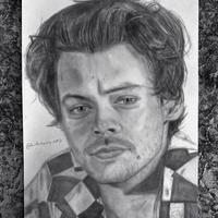 Disegno Harry Styles ritratto realistico a matita