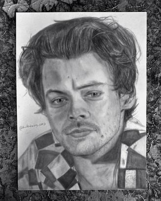 Disegno Harry Styles ritratto realistico a matita