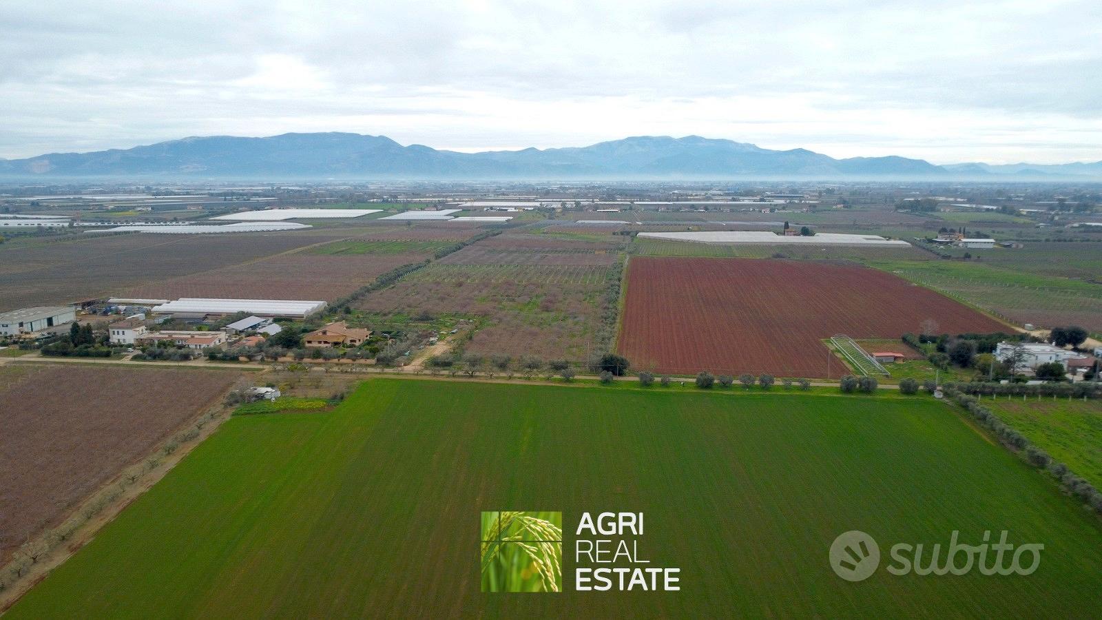 Terreno 7 HA fronte strada con pozzo | TR487 - Vista 4