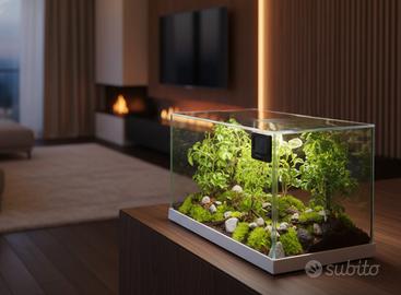 terrarium 