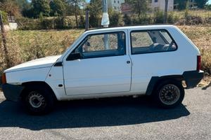 Panda young