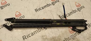 Pistoni Elettrici Portellone Lexus Ux