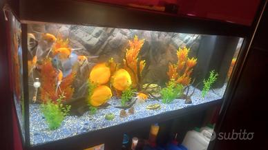 ACQUARIO JUWEL RIO 450 ARREDATO CON SUPPORTO