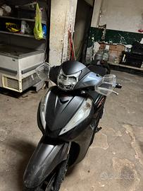 SH 300 Sport 2017