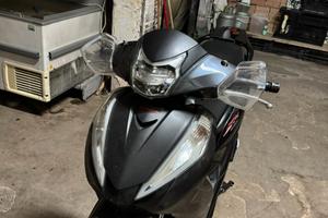 SH 300 Sport 2017