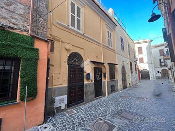 MONOLOCALE A NETTUNO