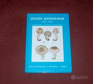 Funghi - Atlante iconografico - G. Lazzari - 1985