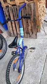 CAMMELLINO RIMORCHIO BICI BAMBINO