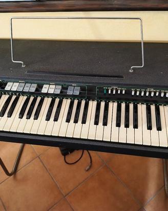 Organo Eko Panda 61
