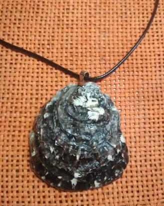 collana in caucciu e ostrica di mare 5 x 5 cm