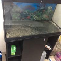 ACQUARIO CAYMAN 80  FERPLAST