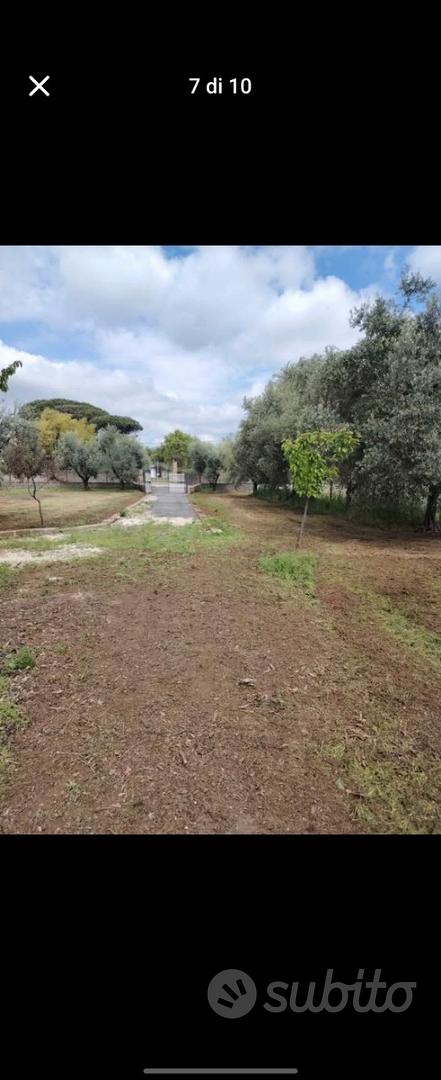 Terreno con Fabbricato - Ansicht 6