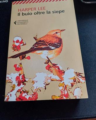 Libro Il buio oltre la siepe 