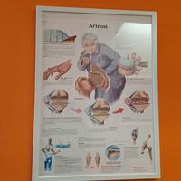 poster sala d'attesa