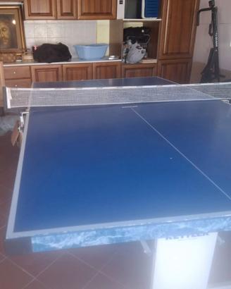 Tavolo ping pong