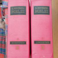 Dizionario melzi 2 volumi 1963