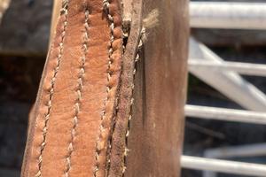 Porta Thompson per Harley wla