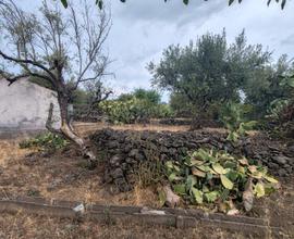 Terreno agricolo con fabbricati