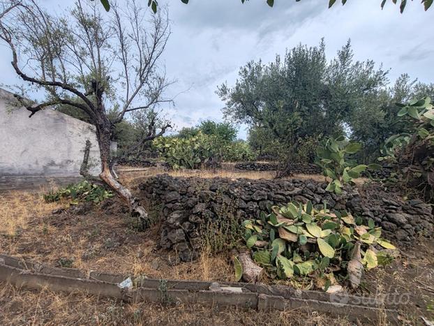 Terreno agricolo con fabbricati