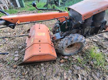 Motocoltivatore Goldoni LD 59 e Goldoni con falcia