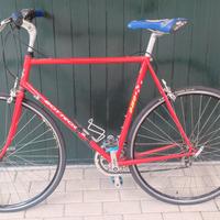 bici uomo bottecchia.