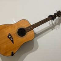 Chitarra acustica