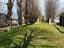 Immagine 15
