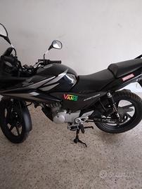 Honda CBF 125 -giugno 2011