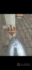 BIANCHI FALCHETTO ANNI 50.