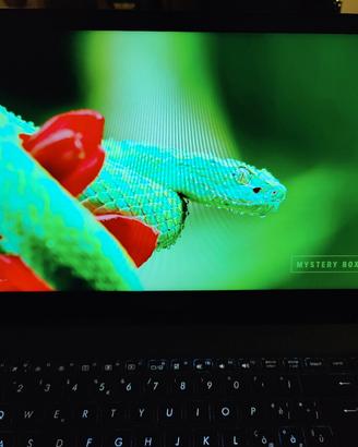 Asus Zenbook pro 15.6"