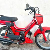 Atala Master LL 4 m conservato