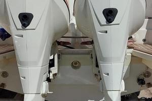 Evinrude 250 Etec