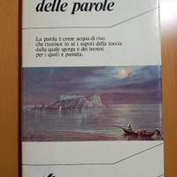 libro -  La memoria delle parole