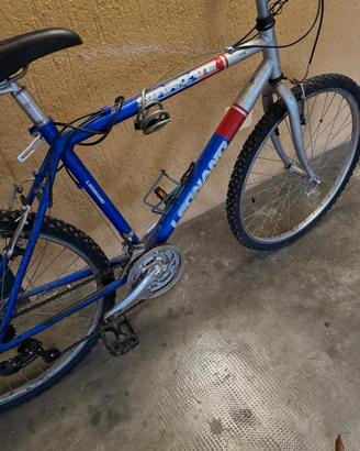 MTB ragazzo/a