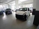 ligier-js-js50-dci-revolution-club-young