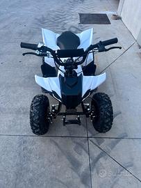 Quad elettrico ea50