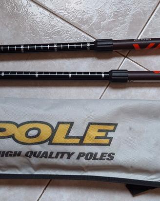Bastoncini da Nordic Walking 