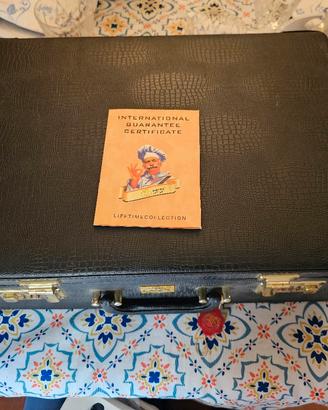 Valigietta coltelli da cucina 50 pezzi