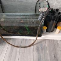 acquario per pesci/terriera per rettili