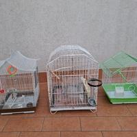 gabbia x uccelli 