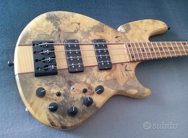 Basso Wood & Tronics Spectrum 4NT
