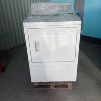 asciugatrice professionale 